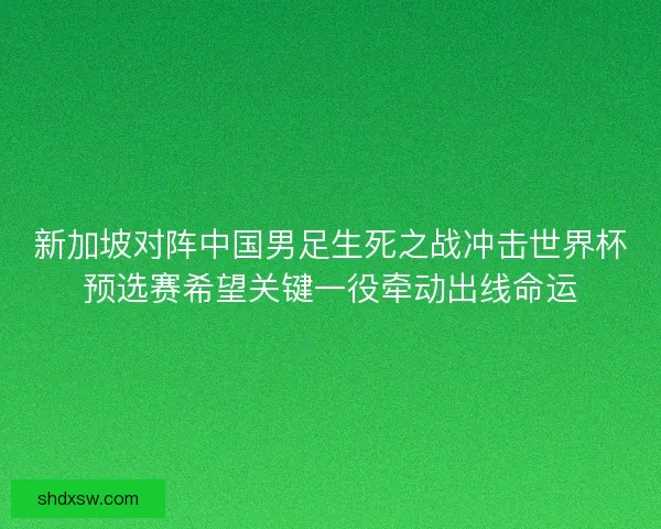 新加坡对阵中国男足生死之战冲击世界杯预选赛希望关键一役牵动出线命运