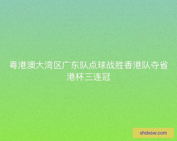 粤港澳大湾区广东队点球战胜香港队夺省港杯三连冠