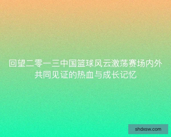回望二零一三中国篮球风云激荡赛场内外共同见证的热血与成长记忆