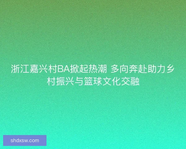 浙江嘉兴村BA掀起热潮 多向奔赴助力乡村振兴与篮球文化交融
